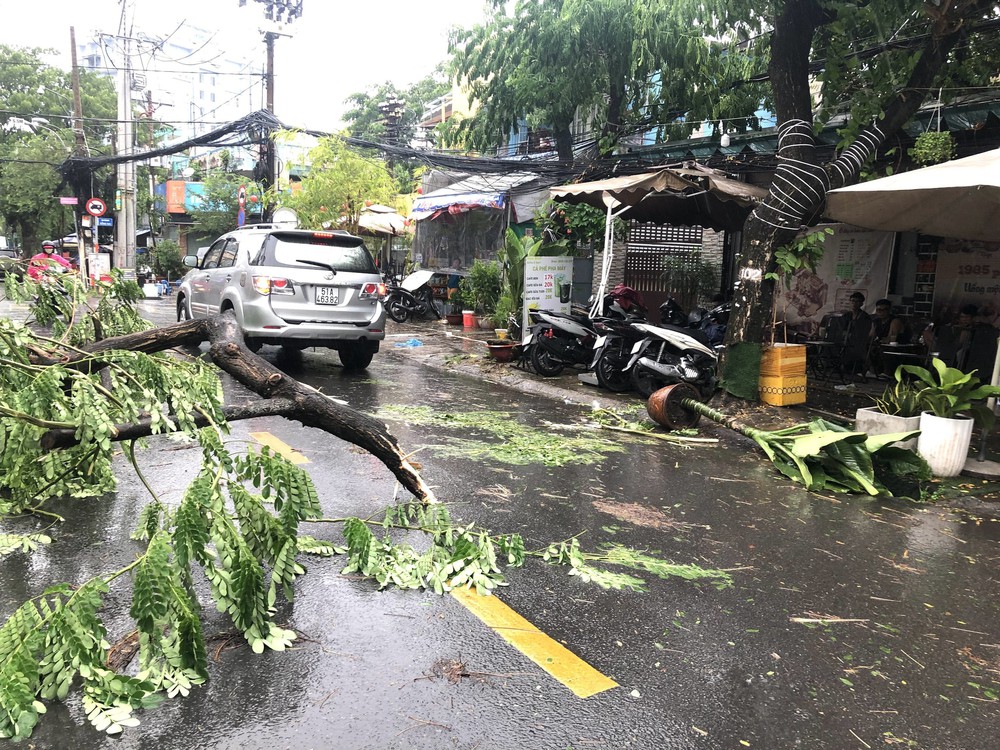 Mưa lớn kèm dông lốc, gió giật khiến nhiều cây xanh gãy đổ ở TP Hồ Chí Minh - Ảnh 6.