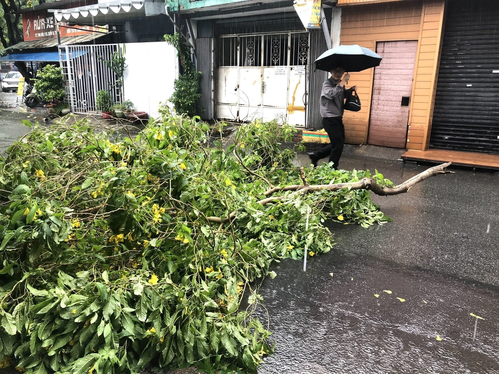 Mưa lớn kèm dông lốc, gió giật khiến nhiều cây xanh gãy đổ ở TP Hồ Chí Minh - Ảnh 7.