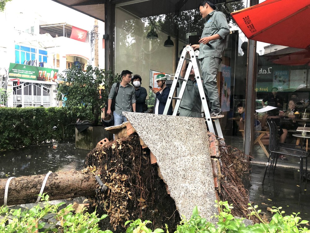 Mưa lớn kèm dông lốc, gió giật khiến nhiều cây xanh gãy đổ ở TP Hồ Chí Minh - Ảnh 8.