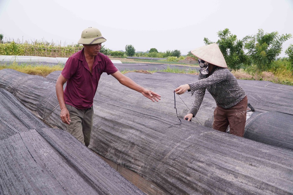 Bộ Tổng Tham mưu chỉ đạo triển khai ứng phó khẩn cấp với bão số 3 (Wipha) - Ảnh 3.