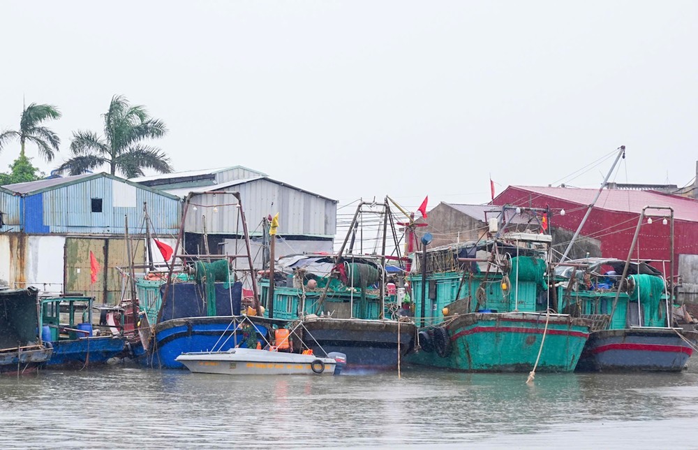 Phó Thủ tướng Trần Hồng Hà chỉ đạo công tác phòng, chống bão số 3 tại Hải Phòng và Hưng Yên - Ảnh 11.