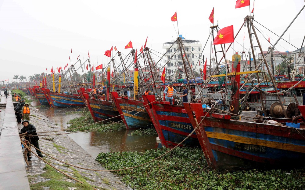Phó Thủ tướng Trần Hồng Hà chỉ đạo công tác phòng, chống bão số 3 tại Hải Phòng và Hưng Yên - Ảnh 4.