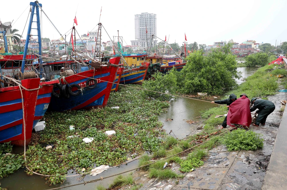 Phó Thủ tướng Trần Hồng Hà chỉ đạo công tác phòng, chống bão số 3 tại Hải Phòng và Hưng Yên - Ảnh 5.
