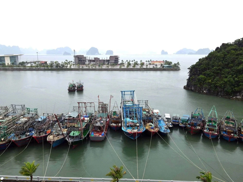 Ứng phó bão số 3: Quảng Ninh kêu gọi tàu thuyền về nơi tránh trú an toàn - Ảnh 3.