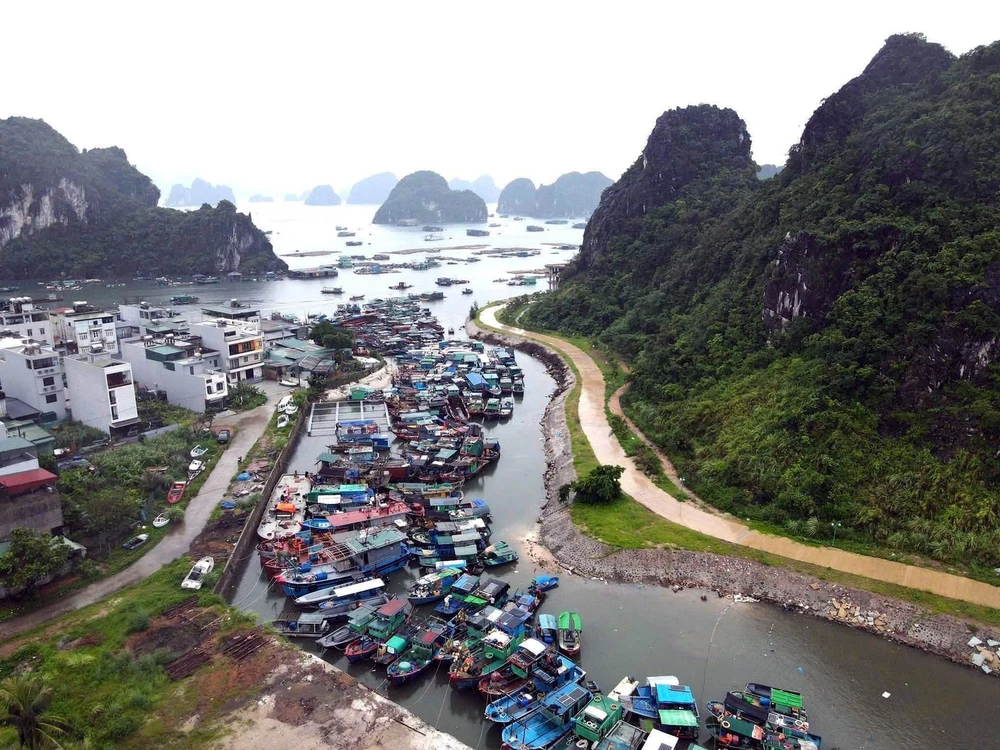 Ứng phó bão số 3: Quảng Ninh kêu gọi tàu thuyền về nơi tránh trú an toàn - Ảnh 2.
