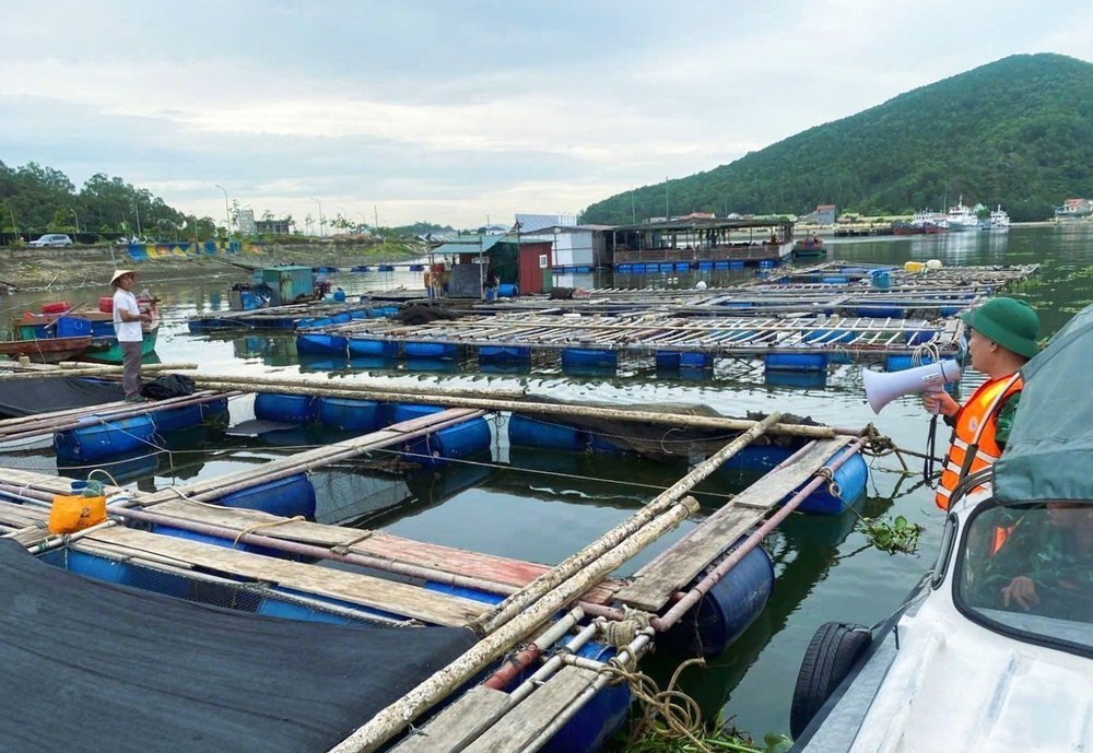 Bão số 3: Bộ đội Biên phòng bám cơ sở, giúp dân “vượt” bão - Ảnh 3.
