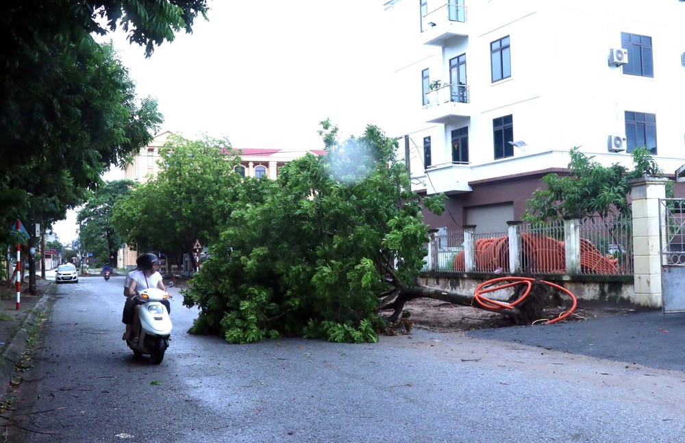 Bão số 3 - Wipha: Tuân thủ mọi khuyến cáo và chủ động các biện pháp phòng, tránh - Ảnh 1.