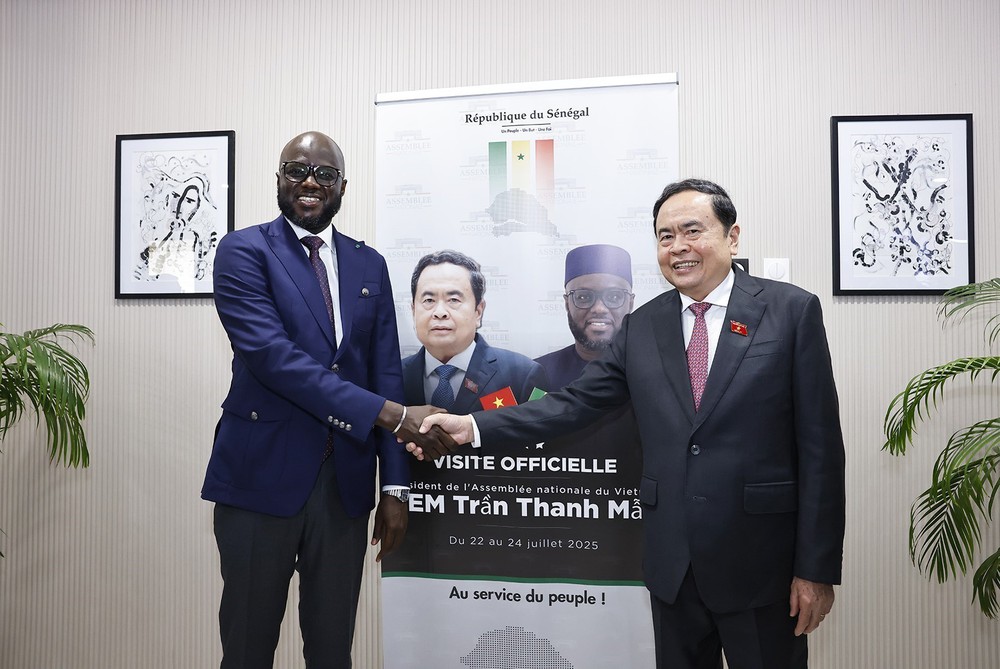 Chủ tịch Quốc hội Trần Thanh Mẫn hội đàm với Chủ tịch Quốc hội Senegal - Ảnh 2.