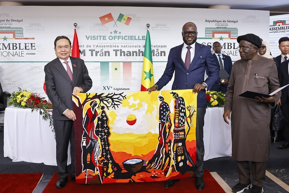 Chủ tịch Quốc hội Trần Thanh Mẫn hội đàm với Chủ tịch Quốc hội Senegal - Ảnh 9.
