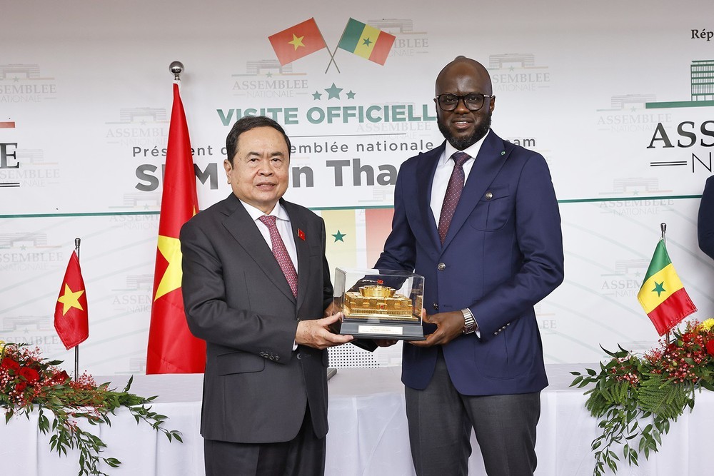 Chủ tịch Quốc hội Trần Thanh Mẫn hội đàm với Chủ tịch Quốc hội Senegal - Ảnh 10.
