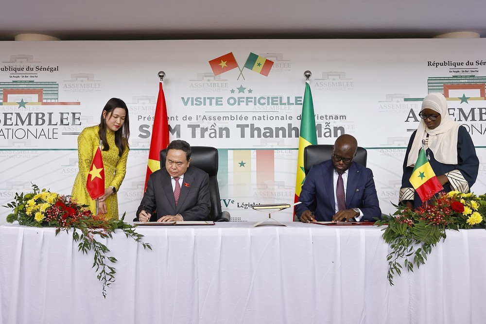 Chủ tịch Quốc hội Trần Thanh Mẫn hội đàm với Chủ tịch Quốc hội Senegal - Ảnh 7.