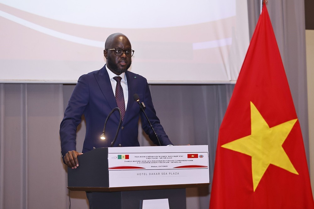 Hợp tác Việt Nam - Senegal: Tọa đàm chính sách thúc đẩy hợp tác song phương - Ảnh 2.