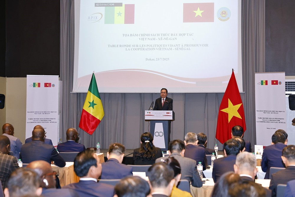 Hợp tác Việt Nam - Senegal: Tọa đàm chính sách thúc đẩy hợp tác song phương - Ảnh 1.