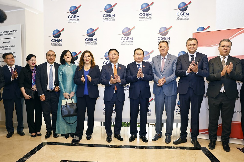 Chủ tịch Quốc hội Trần Thanh Mẫn dự tọa đàm về chính sách thúc đẩy hợp tác Việt Nam-Maroc - Ảnh 6.