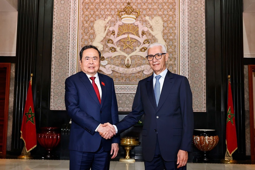 Chủ tịch Quốc hội Trần Thanh Mẫn hội đàm với Chủ tịch Hạ viện Maroc - Ảnh 2.