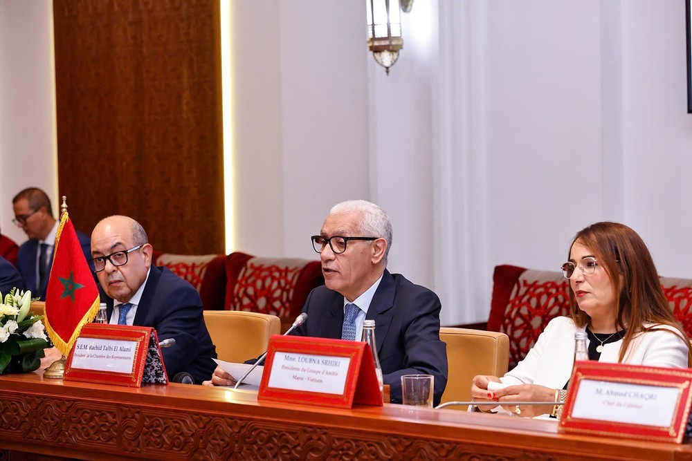Chủ tịch Quốc hội Trần Thanh Mẫn hội đàm với Chủ tịch Hạ viện Maroc - Ảnh 5.