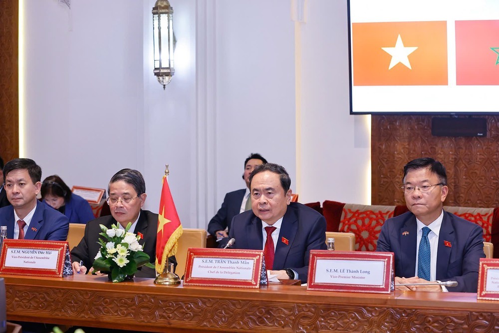 Chủ tịch Quốc hội Trần Thanh Mẫn hội đàm với Chủ tịch Hạ viện Maroc - Ảnh 4.