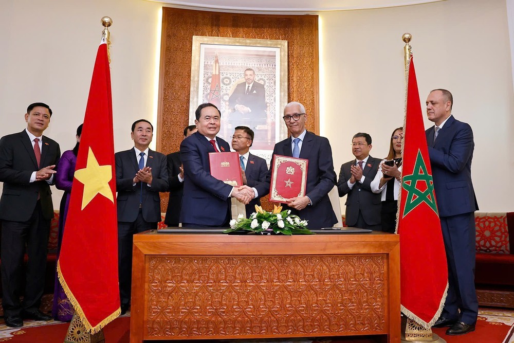 Chủ tịch Quốc hội Trần Thanh Mẫn hội đàm với Chủ tịch Hạ viện Maroc - Ảnh 8.