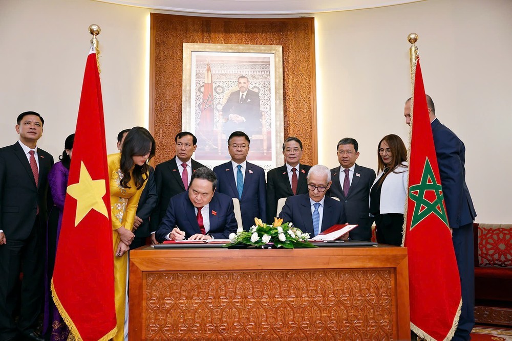Chủ tịch Quốc hội Trần Thanh Mẫn hội đàm với Chủ tịch Hạ viện Maroc - Ảnh 7.