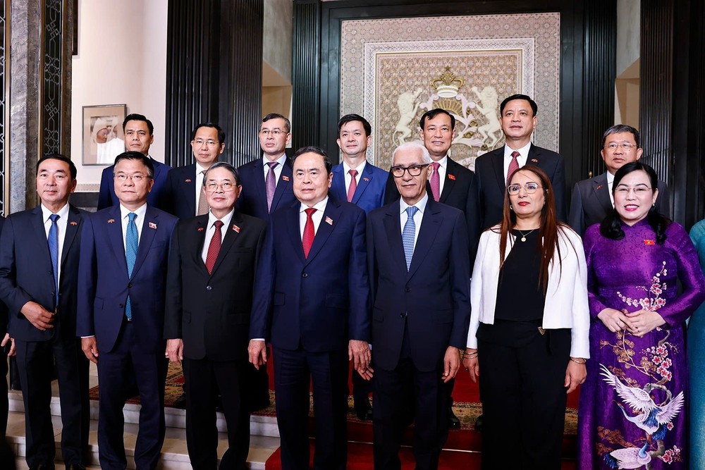 Chủ tịch Quốc hội Trần Thanh Mẫn hội đàm với Chủ tịch Hạ viện Maroc - Ảnh 10.