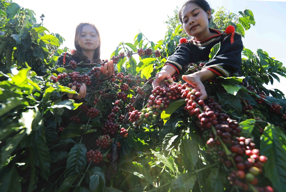 Nhiều điểm mới tại “Ngày hội Giao lưu khu vực Biên giới Tây Nguyên 2025”: Kết nối di sản bằng công nghệ, kích hoạt du lịch bằng bản sắc - Ảnh 3.