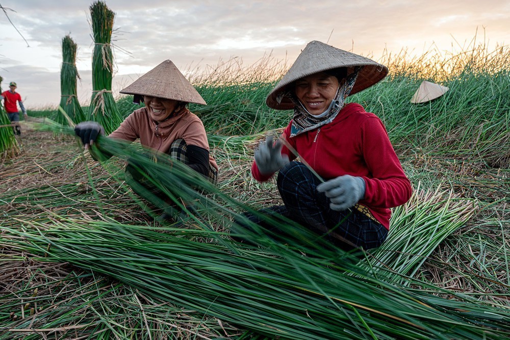 Khám phá làng dệt chiếu cói Phú Tân (tỉnh Đắk Lắk) hơn 100 năm tuổi - Ảnh 3. Khám phá làng dệt chiếu cói Phú Tân (tỉnh Đắk Lắk) hơn 100 năm tuổi - Ảnh 3.
