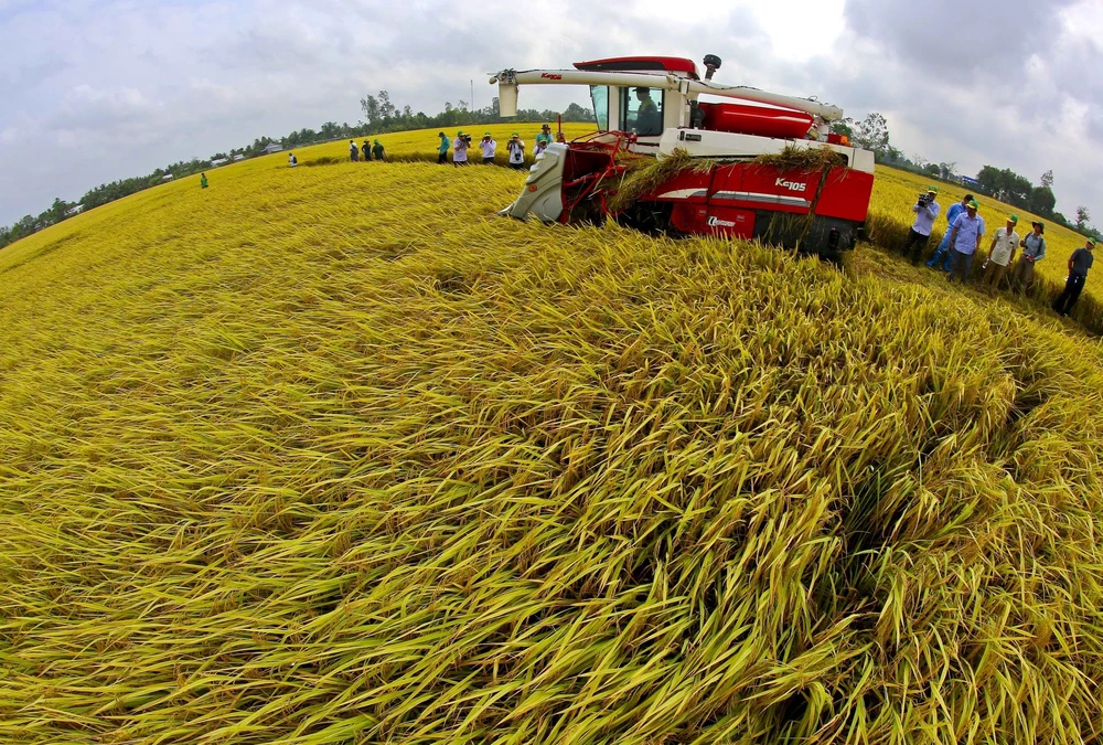 Vẹn nguyên bài học chớp thời cơ trong Kỷ nguyên vươn mình của dân tộc - Ảnh 10.