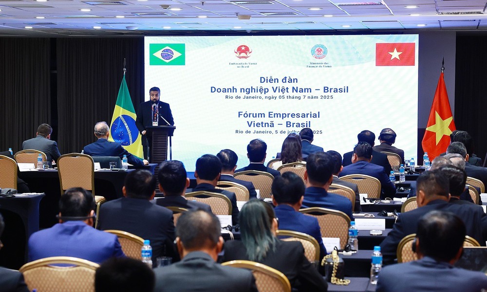 Thủ tướng dự Diễn đàn doanh nghiệp Việt Nam-Brazil - Ảnh 7.