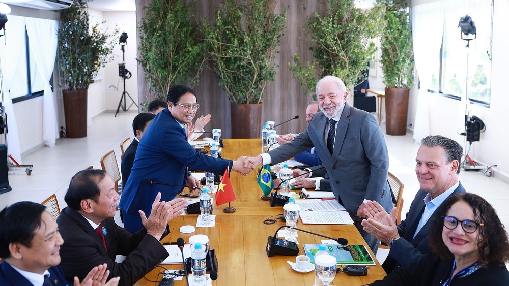 Thủ tướng Phạm Minh Chính hội kiến Tổng thống Brazil Lula da Silva - Ảnh 6.