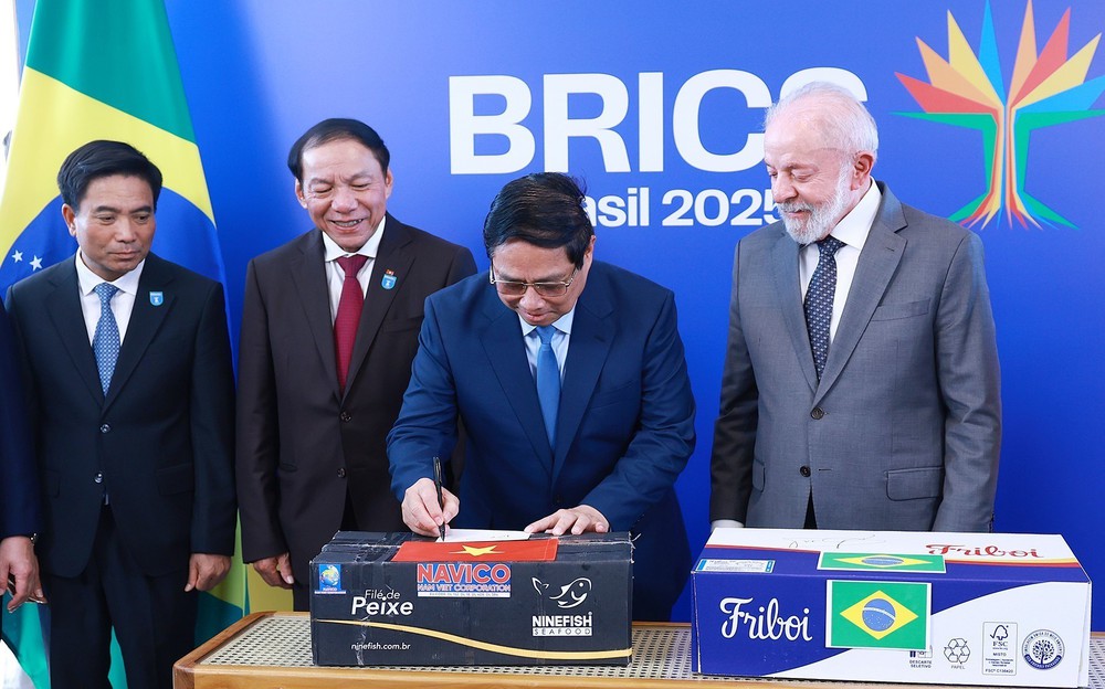 Thủ tướng Phạm Minh Chính hội kiến Tổng thống Brazil Lula da Silva - Ảnh 11.