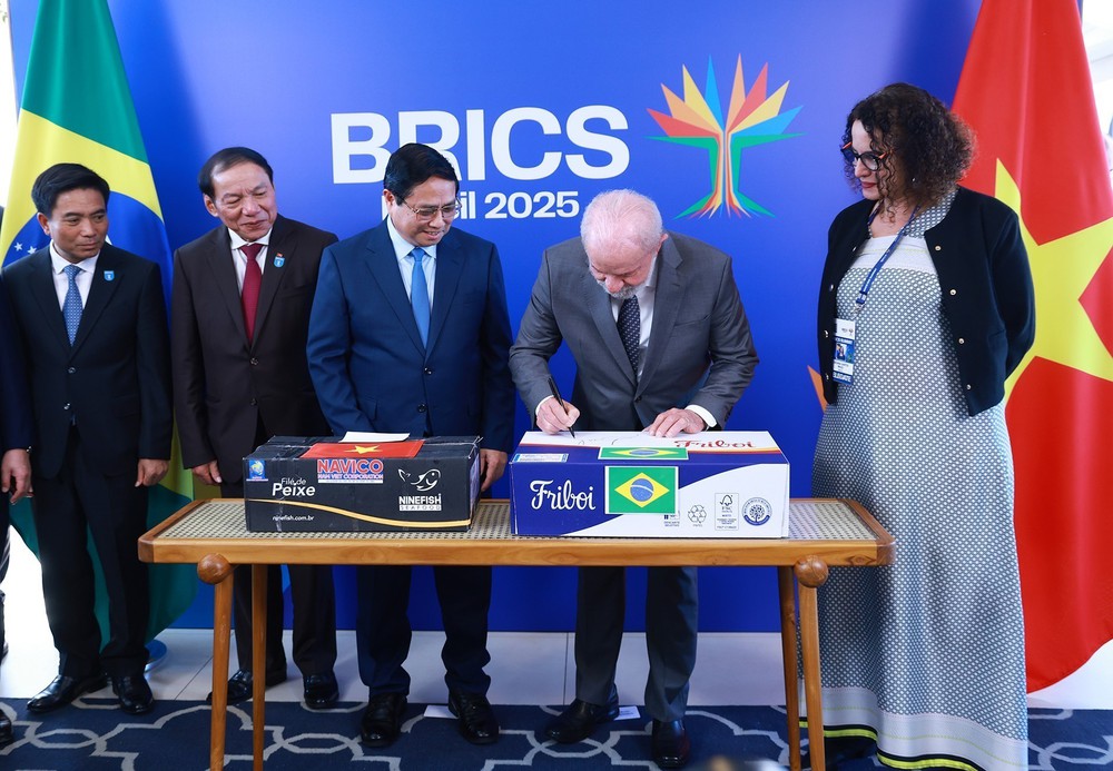 Thủ tướng Phạm Minh Chính hội kiến Tổng thống Brazil Lula da Silva - Ảnh 10.