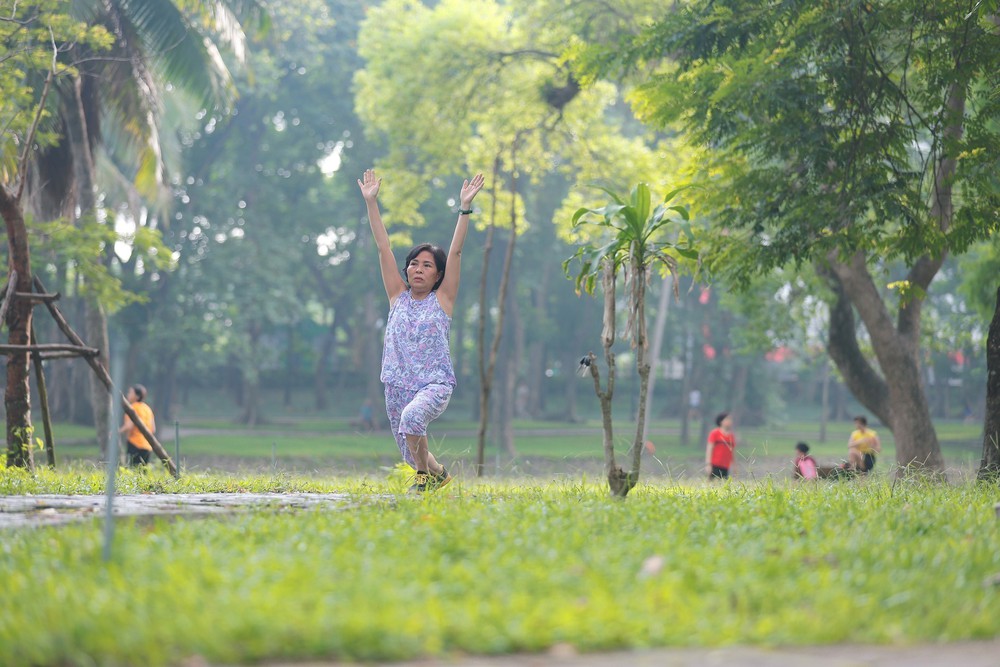 Những "Lá phổi xanh" giữa lòng đô thị - Ảnh 10. Những "Lá phổi xanh" giữa lòng đô thị - Ảnh 10.