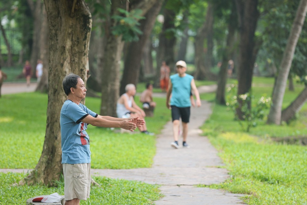 Những "Lá phổi xanh" giữa lòng đô thị - Ảnh 9. Những "Lá phổi xanh" giữa lòng đô thị - Ảnh 9.