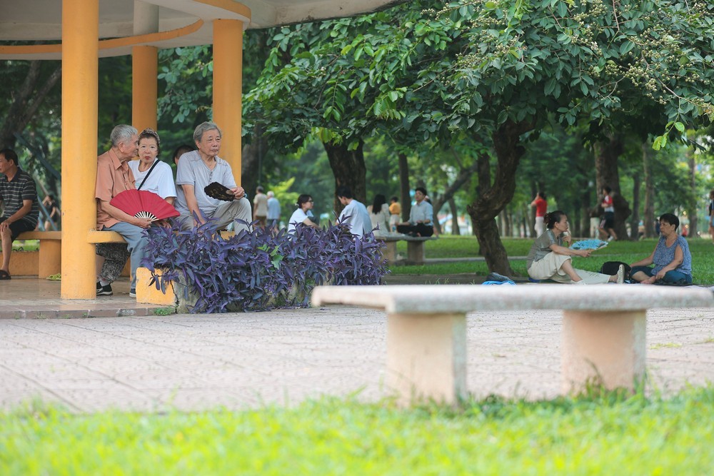 Những "Lá phổi xanh" giữa lòng đô thị - Ảnh 12. Những "Lá phổi xanh" giữa lòng đô thị - Ảnh 12.