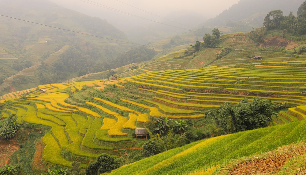 Ngày Du lịch Việt Nam (9/7): Khơi dậy tiềm lực, định hình bản sắc, hướng tới phát triển bền vững - Ảnh 4. Ngày Du lịch Việt Nam (9/7): Khơi dậy tiềm lực, định hình bản sắc, hướng tới phát triển bền vững - Ảnh 4.