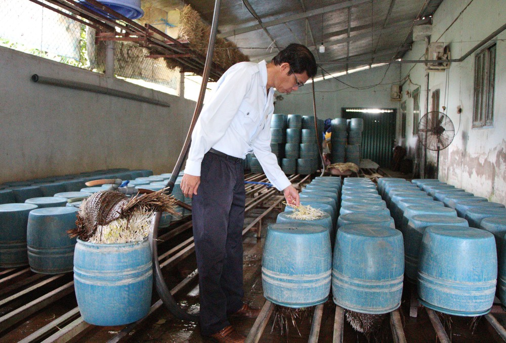Cử tri Hà Nội chất vấn về an toàn thực phẩm - Ảnh 1.