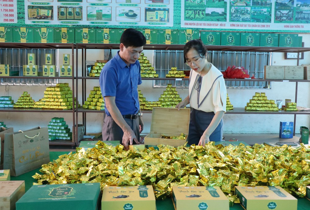 65 năm du lịch Việt Nam: Vững bước, khẳng định vị thế trên bản đồ thế giới - Ảnh 4. 65 năm du lịch Việt Nam: Vững bước, khẳng định vị thế trên bản đồ thế giới - Ảnh 4.