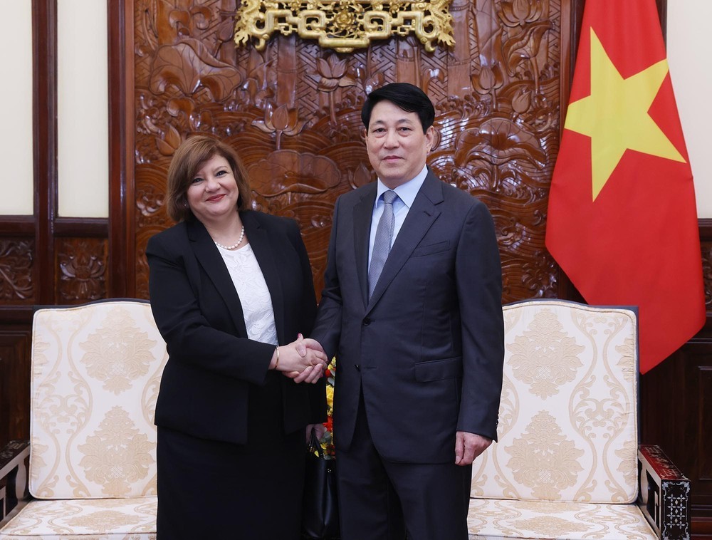 Chủ tịch nước Lương Cường và Phu nhân thăm cấp Nhà nước Cộng hòa Arab Ai Cập: Mở ra không gian hợp tác mới giữa Việt Nam và Ai Cập - Ảnh 1.