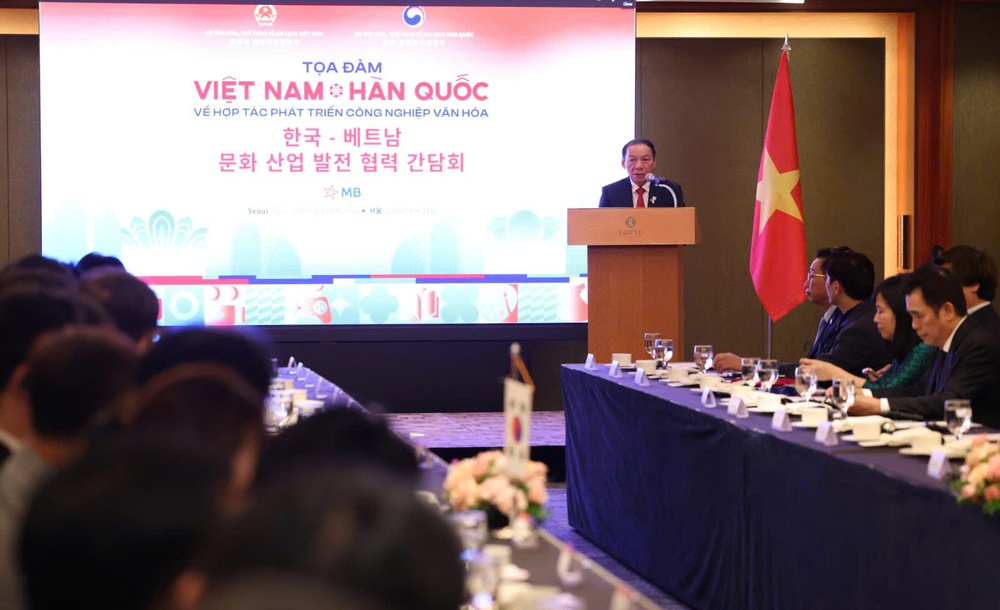 Tọa đàm Việt Nam - Hàn Quốc về hợp tác phát triển công nghiệp văn hóa - Ảnh 3.