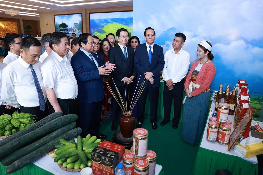 Thủ tướng Phạm Minh Chính chủ trì Hội nghị tổng kết Chương trình mục tiêu quốc gia phát triển kinh tế - xã hội vùng đồng bào dân tộc thiểu số và miền núi - Ảnh 11.