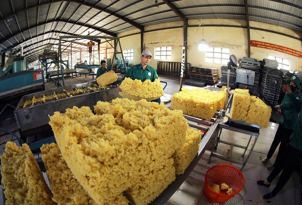 Thủ tướng chỉ đạo đẩy mạnh một số nhiệm vụ, giải pháp nhằm thực hiện mục tiêu tăng trưởng kinh tế năm 2025 - Ảnh 5.