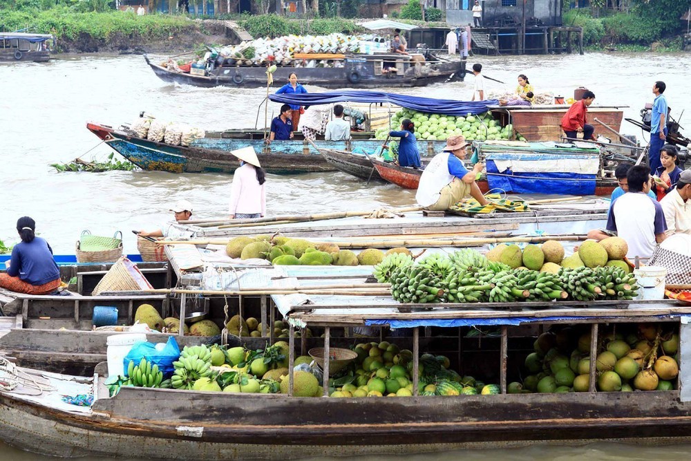 Du lịch xanh ở Đồng bằng sông Cửu Long (Bài 1): Định hướng phát triển bền vững - Ảnh 7.
