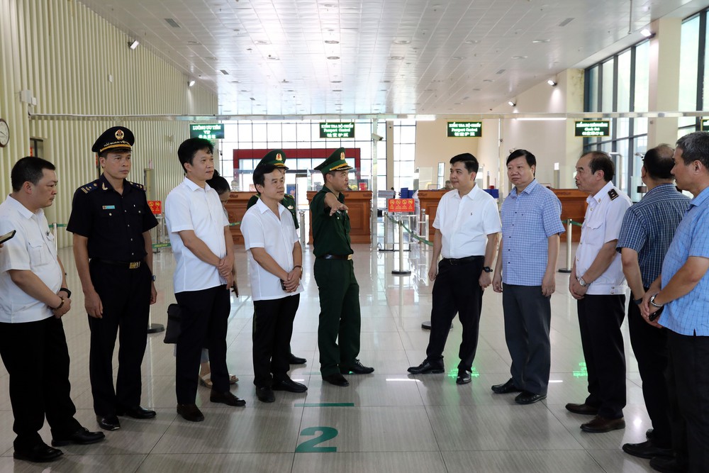 Phòng, chống dịch Chikungunya ngay từ cửa khẩu - Ảnh 2.