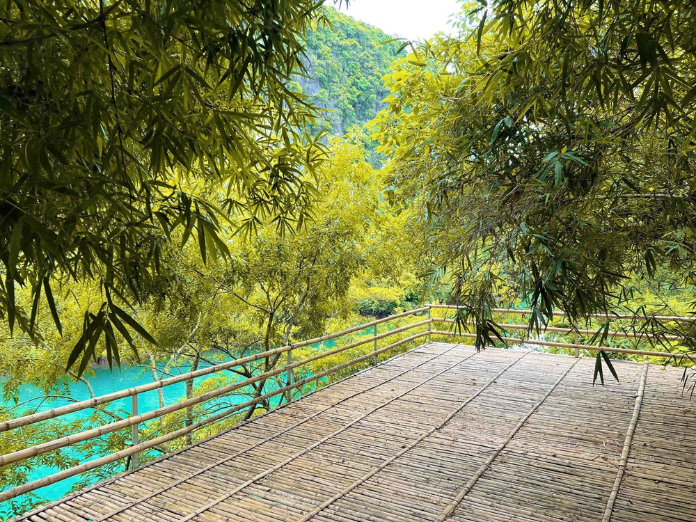 Giữ nguồn tài nguyên rừng quý giá: Xây dựng sản phẩm du lịch xanh - Ảnh 2. Giữ nguồn tài nguyên rừng quý giá: Xây dựng sản phẩm du lịch xanh - Ảnh 2.
