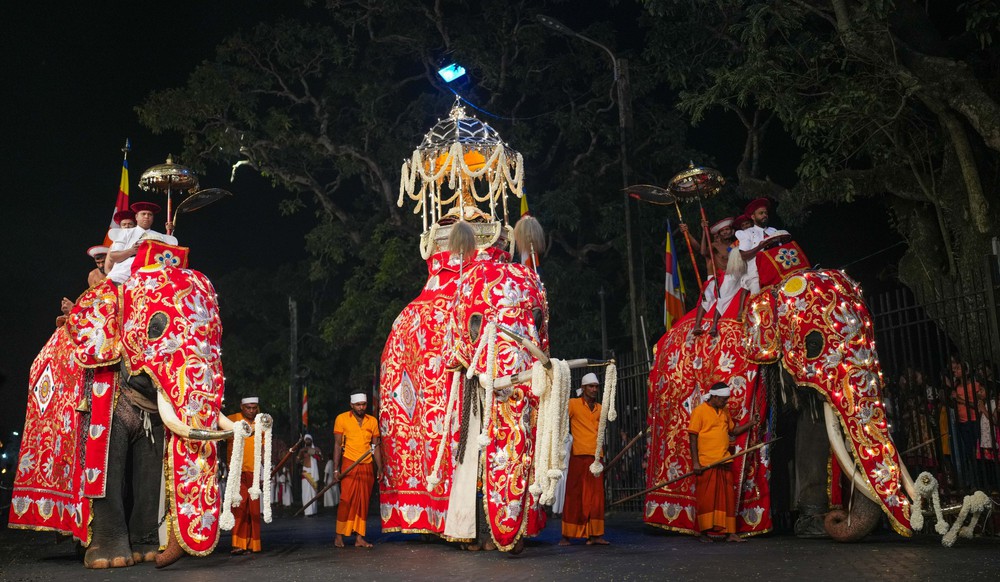 Lễ hội rước xá lợi răng Phật ở Sri Lanka - Ảnh 1.