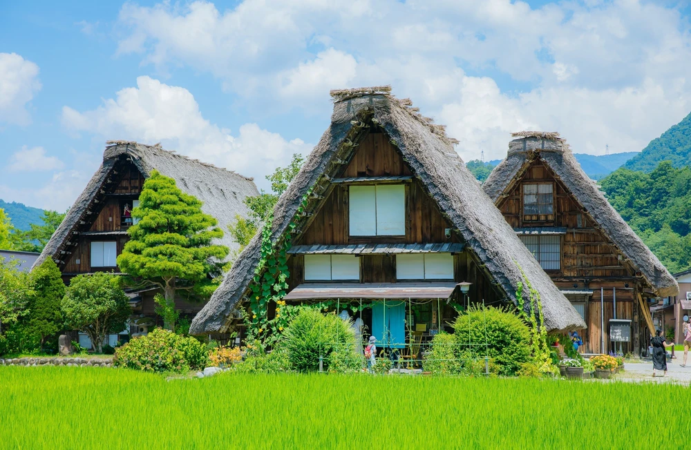 Shirakawago và Gokayama - nét đẹp cổ kính giữa núi rừng Nhật Bản - Ảnh 6. Shirakawago và Gokayama - nét đẹp cổ kính giữa núi rừng Nhật Bản - Ảnh 6.