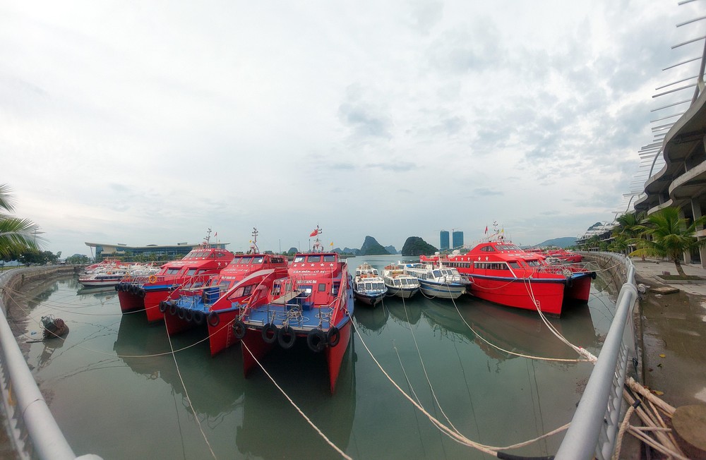 Từ Quảng Ninh đến An Giang chủ động ứng phó với vùng áp thấp - Ảnh 1.