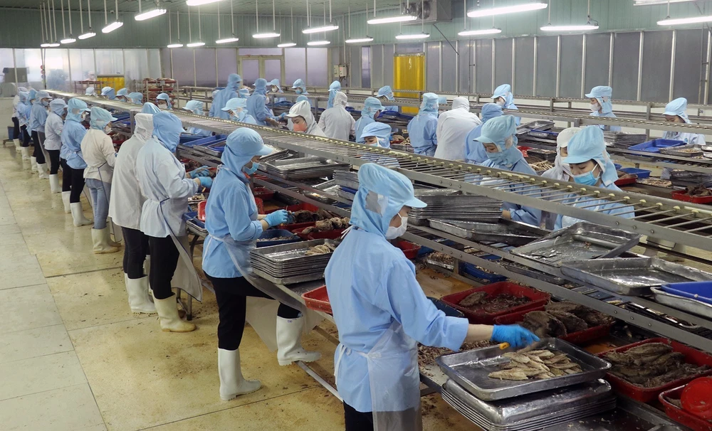 80 năm Quốc khánh: Sức sống của hệ thống xã hội chủ nghĩa - Ảnh 4.