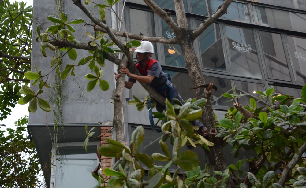 Bão số 5 tăng cấp nhanh, vùng nguy hiểm mở rộng - Ảnh 1.
