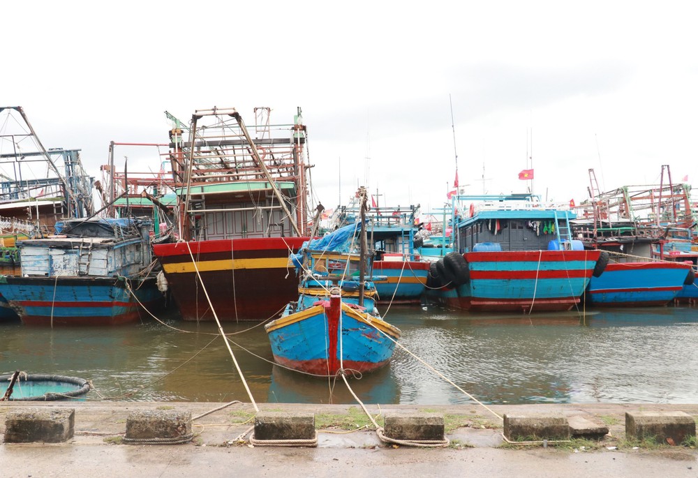 Chủ động ứng phó áp thấp nhiệt đới sắp mạnh lên thành bão - Ảnh 3.